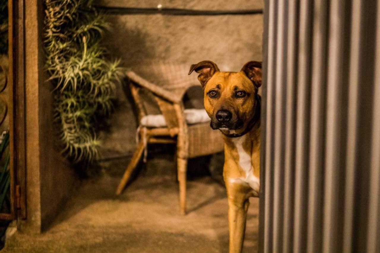 Ferienwohnung Finca Monica La Matanza De Acentejo エクステリア 写真