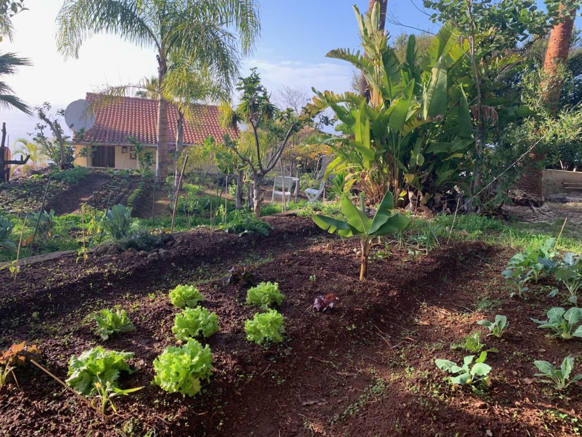 Ferienwohnung Finca Monica La Matanza De Acentejo エクステリア 写真